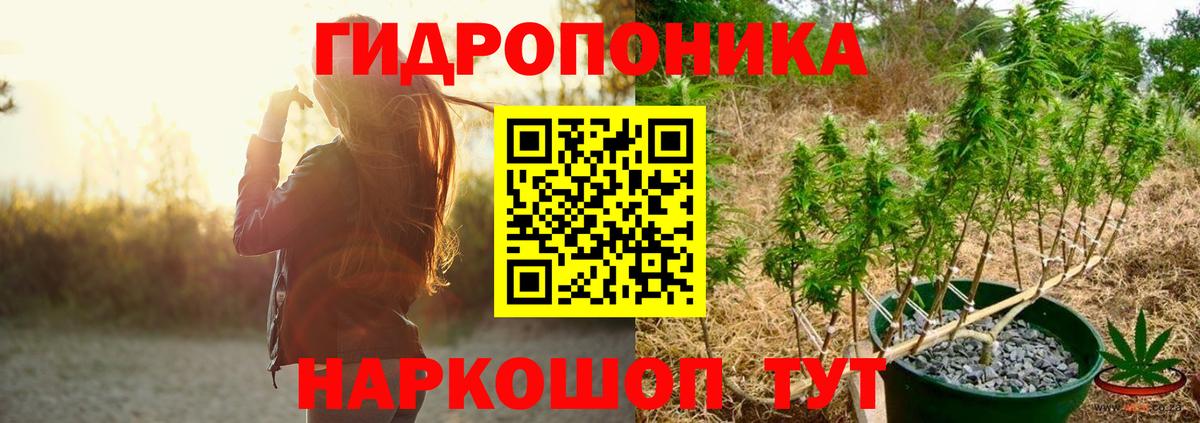 Шишки марихуана Bruce Banner Ревда